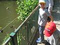 Zoo Cottbus 137